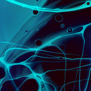 House高音质私货打包32首