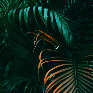 早场摇到总监跳！中前场声光电（Tech House&mdash;Future Rave思路）