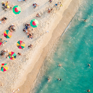 Well威尔独家私货