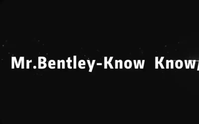 2000styleKnowknow海尔兄弟-Mr.bentley