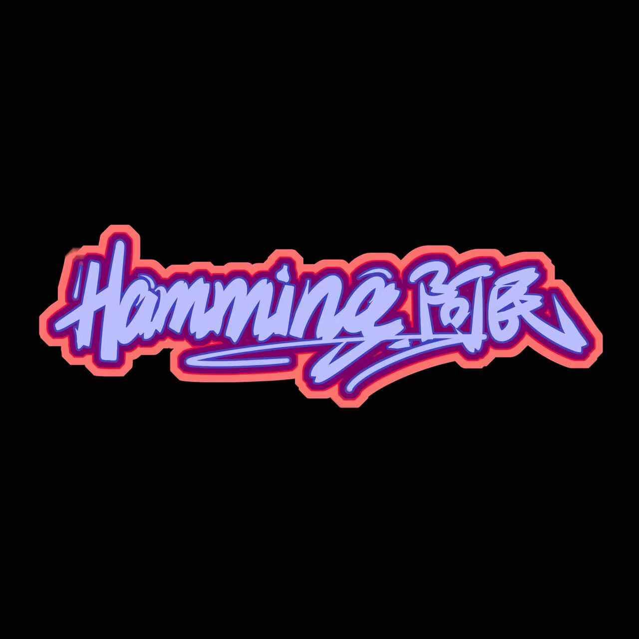 Hamming_阿民