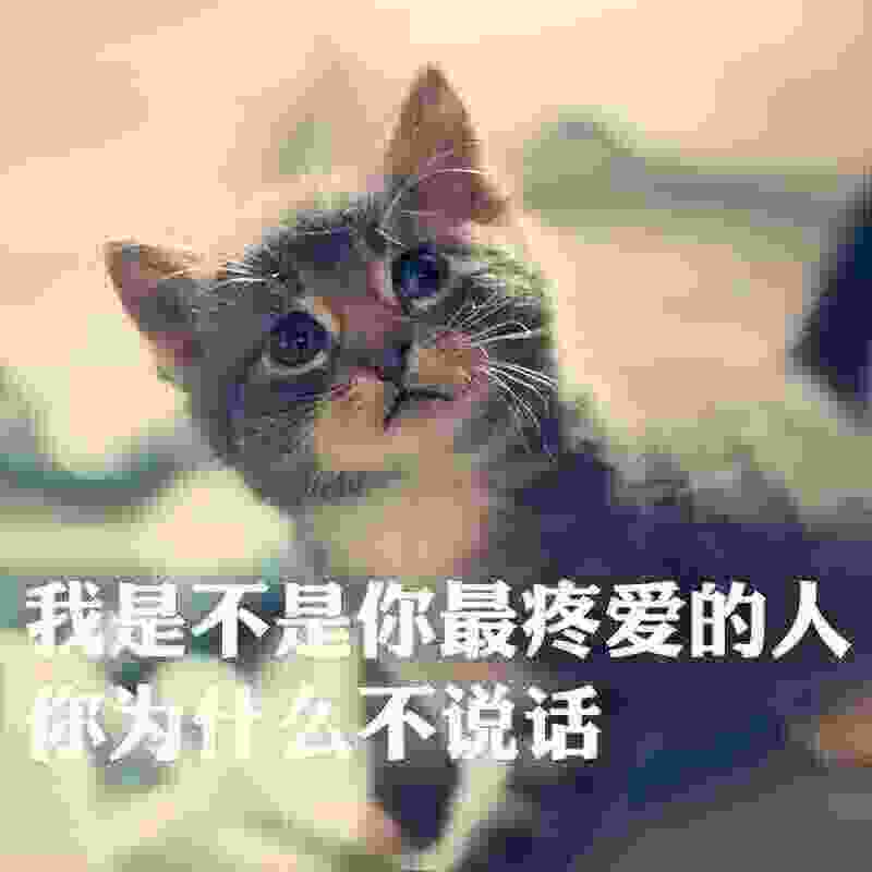 我是不是你疼爱的人（laughingBootleg）