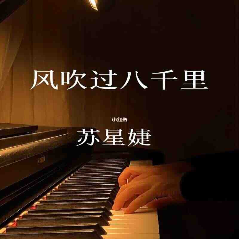 苏星婕-风吹过八千里（laughingbootleg)
