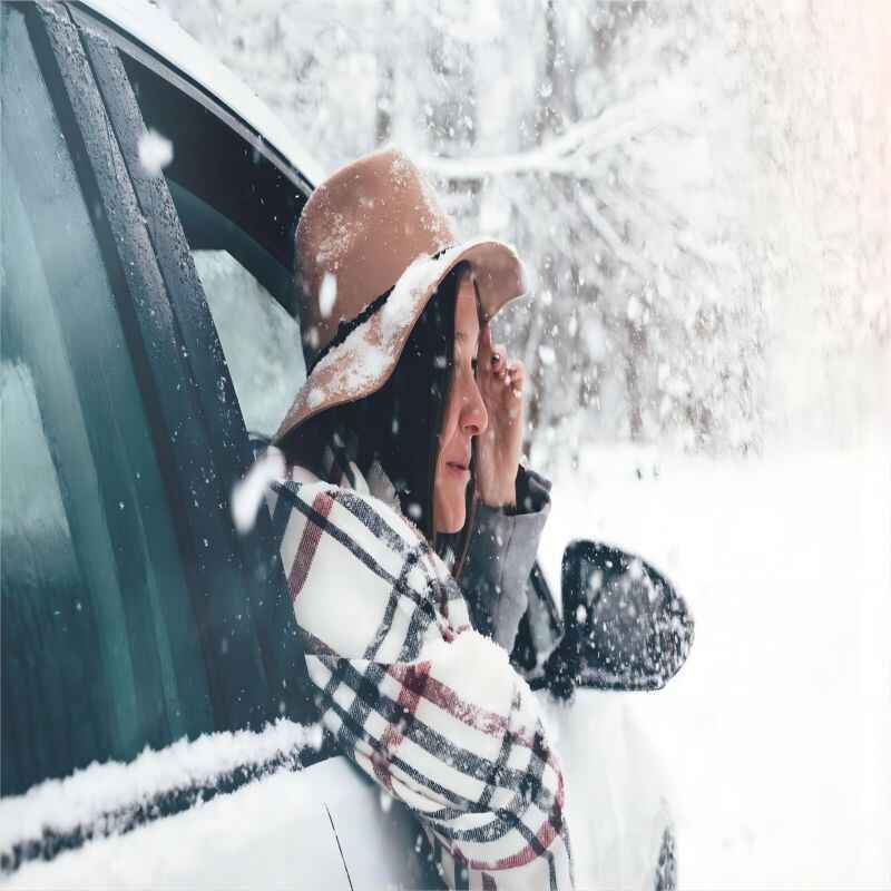 车窗外飘着雪（laughingbootleg)