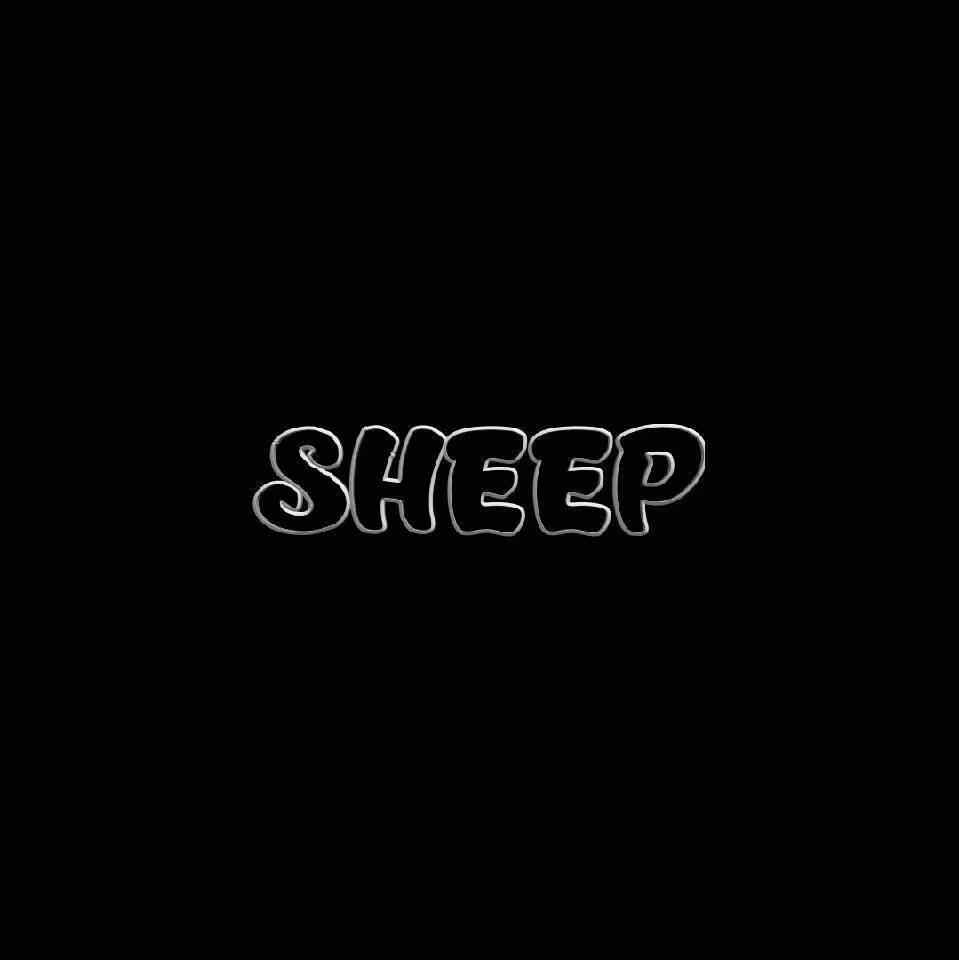 广东烂仔 - 捞乜都掂( SHEEP Bootleg)