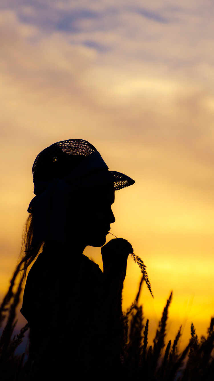 W紫 2019 单曲精选